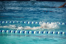 Enlarge photo 94