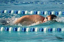 Enlarge photo 95