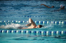 Enlarge photo 96