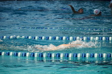 Enlarge photo 97