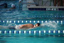 Enlarge photo 98