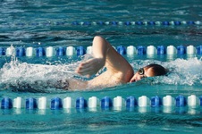 Enlarge photo 99