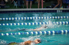 Enlarge photo 105