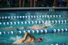 Enlarge photo 107