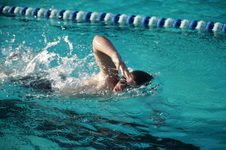 Enlarge photo 108