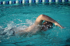 Enlarge photo 110