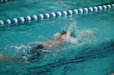 Enlarge photo 113
