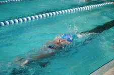 Enlarge photo 120