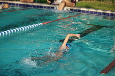 Enlarge photo 121