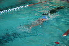 Enlarge photo 124