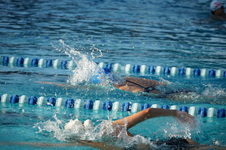 Enlarge photo 129