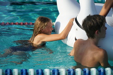 Enlarge photo 55