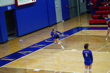 Enlarge photo 247