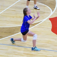 Enlarge photo 395
