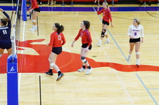 Enlarge photo 213
