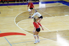 Enlarge photo 270