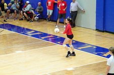 Enlarge photo 315