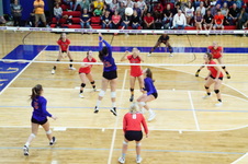 Enlarge photo 327