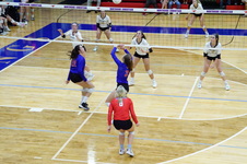 Enlarge photo 490