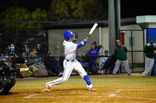 Enlarge photo 41