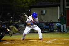 Enlarge photo 161