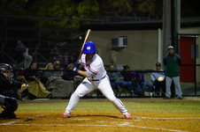Enlarge photo 174