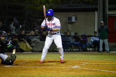Enlarge photo 177
