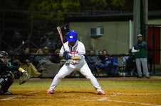 Enlarge photo 179