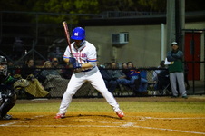 Enlarge photo 178