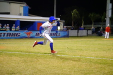 Enlarge photo 201