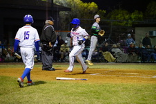 Enlarge photo 261