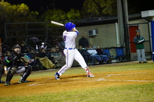 Enlarge photo 317