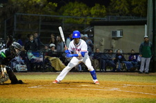 Enlarge photo 455