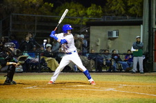 Enlarge photo 460