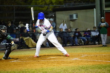 Enlarge photo 488