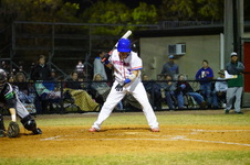 Enlarge photo 513