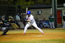 Enlarge photo 535