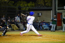 Enlarge photo 539