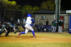 Enlarge photo 554