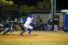 Enlarge photo 557