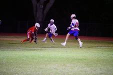 Enlarge photo 173