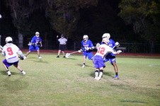 Enlarge photo 112