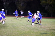 Enlarge photo 115