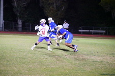 Enlarge photo 118
