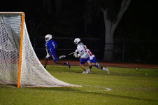 Enlarge photo 158