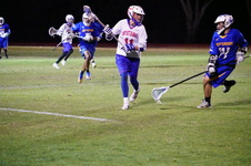 Enlarge photo 235