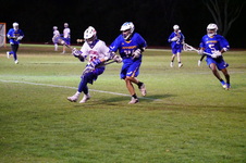 Enlarge photo 238