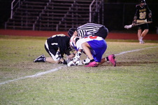 Enlarge photo 44