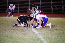 Enlarge photo 99