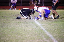 Enlarge photo 103